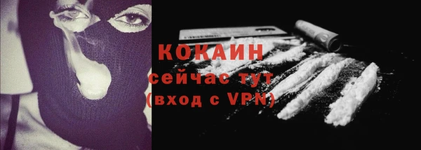 сатива Медногорск