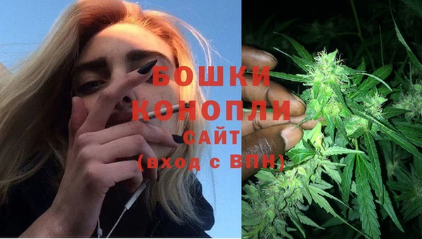 тгк Няндома