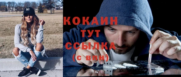 дживик Медвежьегорск