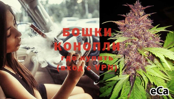 сатива Медногорск