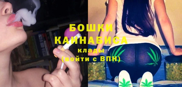 сатива Медногорск