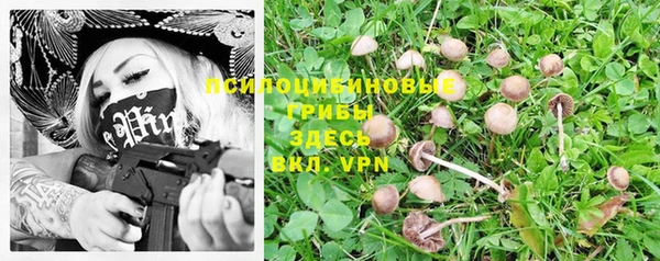 эйфоретик Мегион