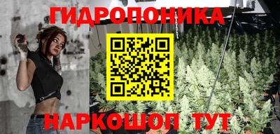 дживик Кунгур