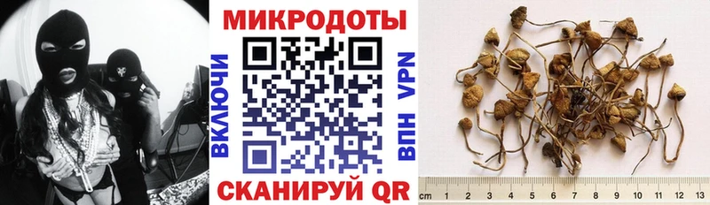 Галлюциногенные грибы прущие грибы  Шатура 