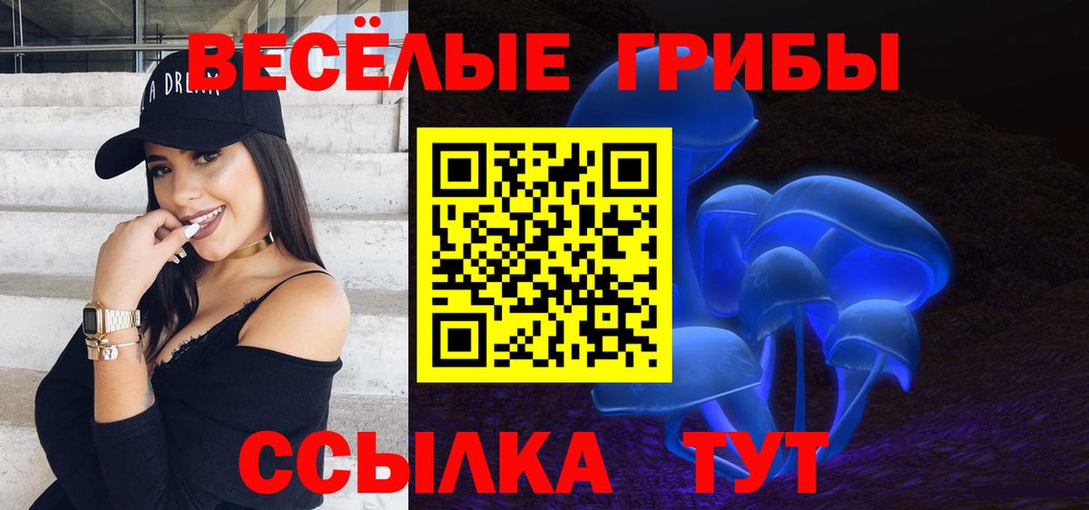 Галлюциногенные грибы Cubensis Шатура