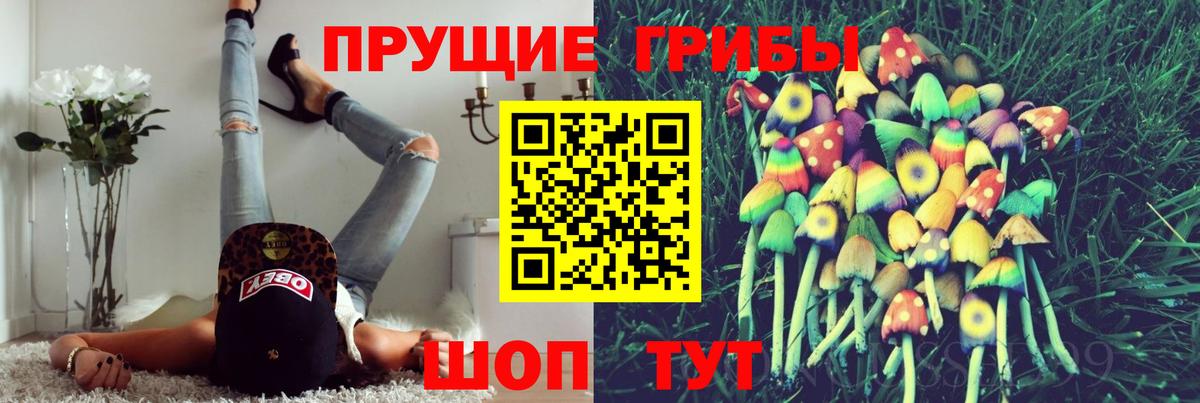 Псилоцибиновые грибы Cubensis  Псилоцибиновые грибы Cubensis  Вход с VPN  Шатура 