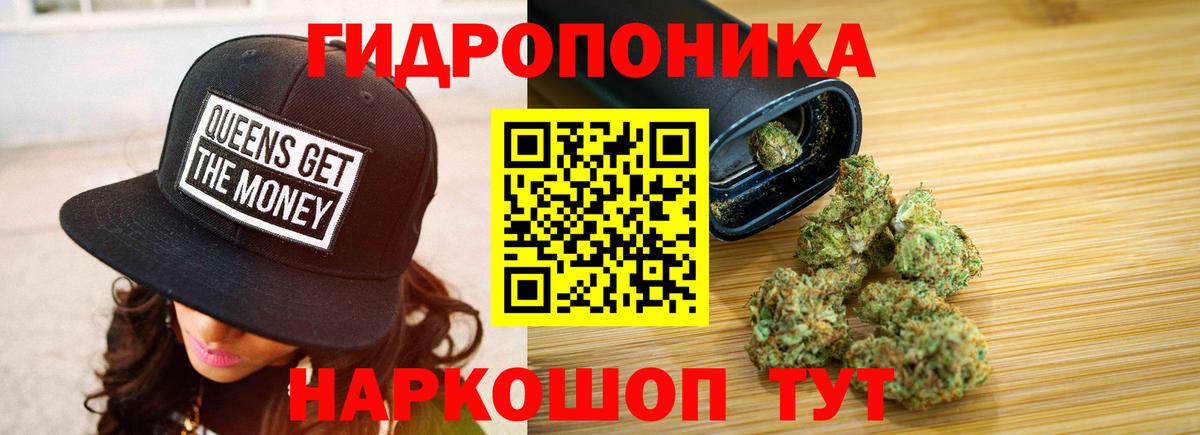 Конопля гибрид Шатура